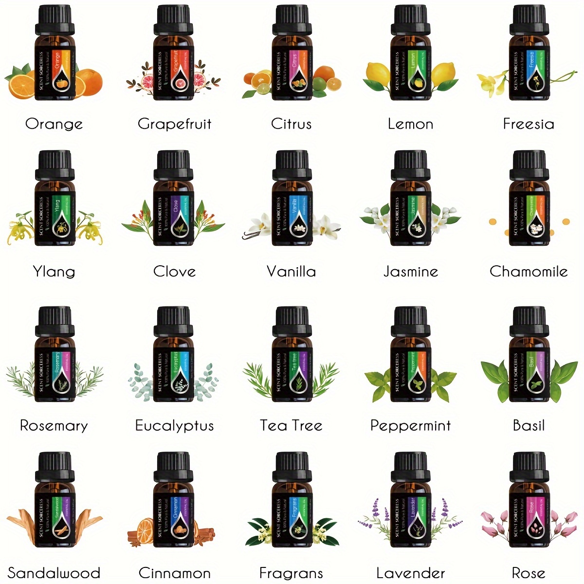 20개/세트 클래식 브랜드 에센셜 오일 세트 라벤더 유 - Lavender Oil 리뷰 및 가격