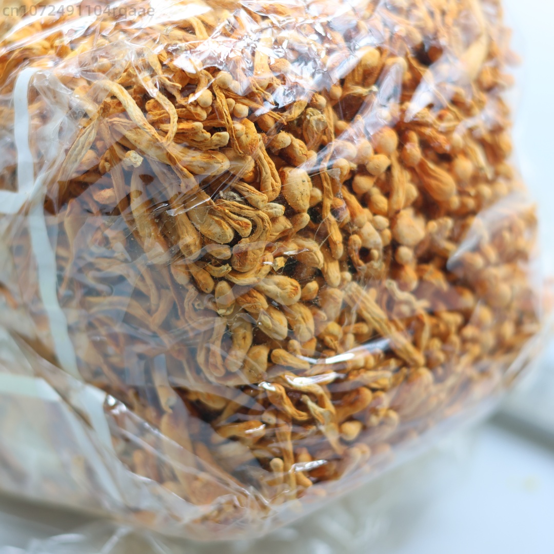 250g/500g 프리미엄 천연 건조 동충하초 꽃 미용 - Chamomile Tea 리뷰 및 가격