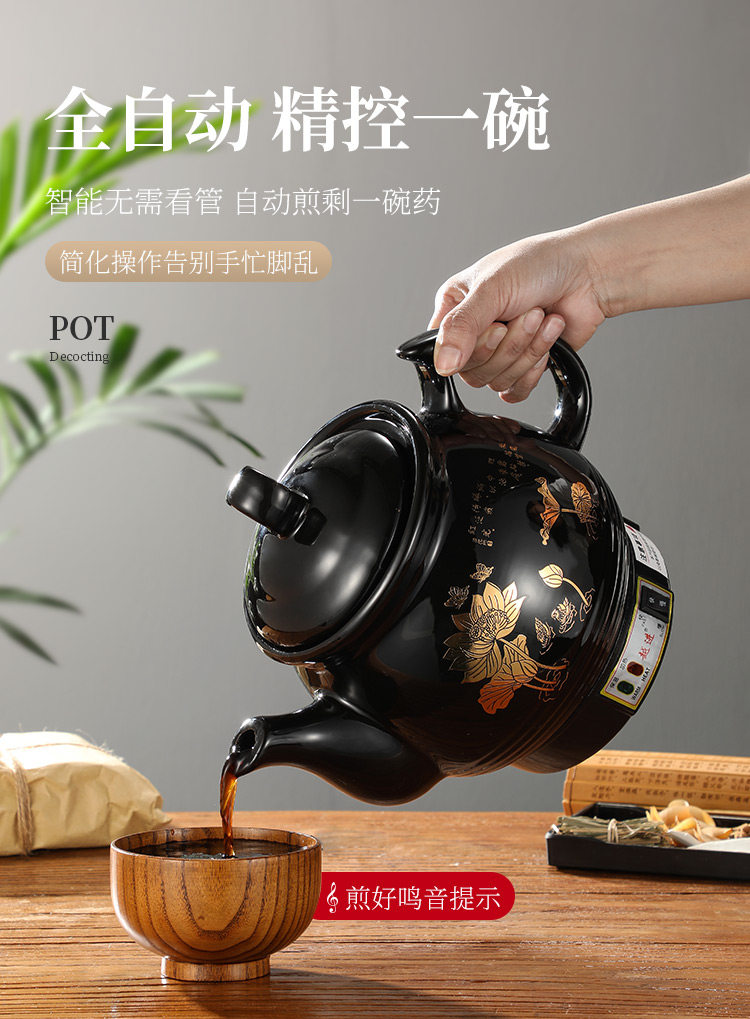 220V 자동 허브차 제조기, 도자기 재질의 한약 끓이 - Herbal Tea 리뷰 및 가격